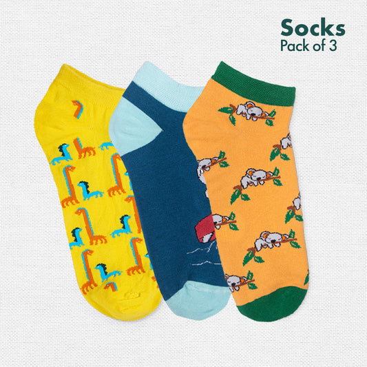 Buy stylish & colorful unisex cotton socks online in India – hex-a-fun
