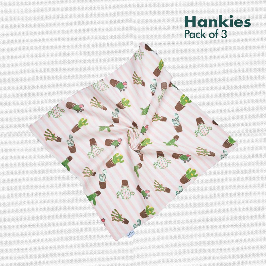 SOML! Summer Of My Life! Women's Hankies, 100% Organic Cotton, Pack of 3